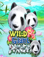 pgslot ฝาก 20 รับ 100 มันส์สุด! เล่นยังไงให้ได้กำไร